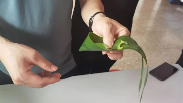 2021���Ϻ������y�T�S���繝�����ӻ�ӣ��D2��