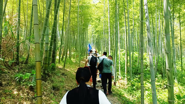 上海滬工閥門廠2024安吉章里古道戶外徒步活動(圖3)